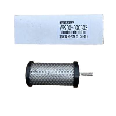 Φίλτρο υψηλής πίεσης WG9716550107 001 V9900-030503 Πρότυπο για τις απαιτήσεις του πελάτη