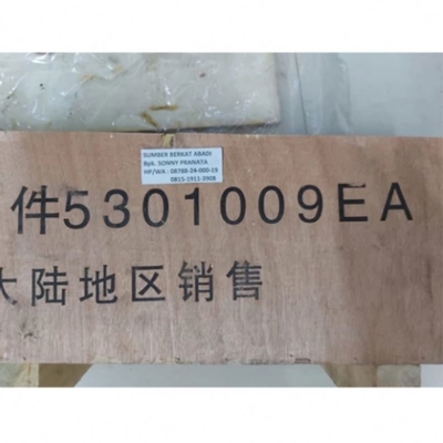 Αριθμός αναφοράς 5301009EA Κάρνος κινητήρα για PC220-8 QSB6.7 Εξόρυξη 100% εγγύηση